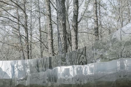 Secret Forest Tree Pavilion